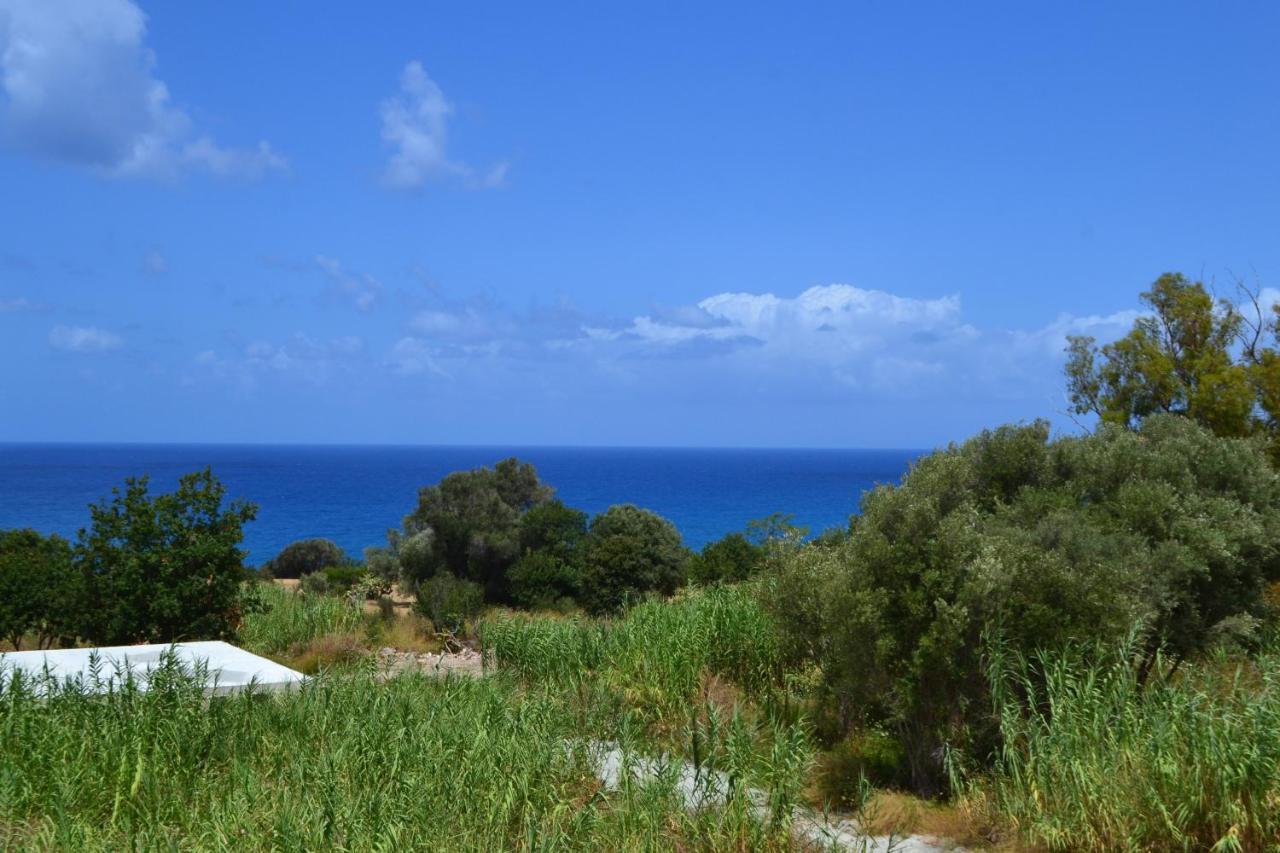 Campus Dei - Tropea Rooms Екстериор снимка