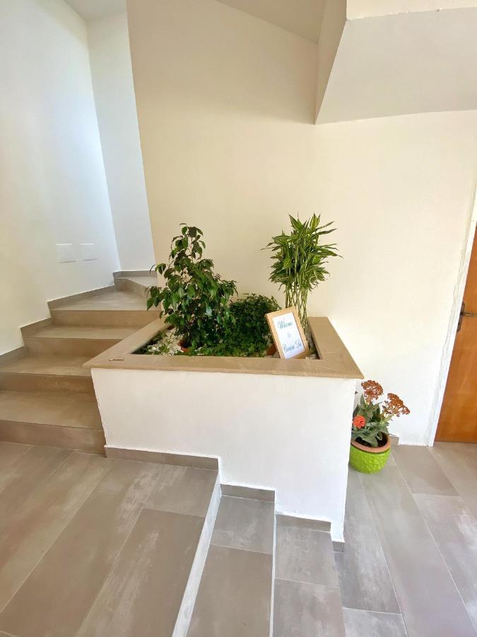 Campus Dei - Tropea Rooms Екстериор снимка